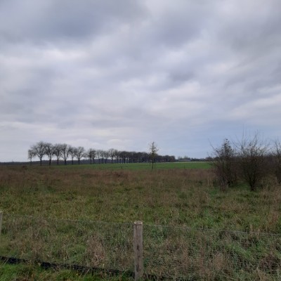 Polska 🇵🇱 Tomek post image