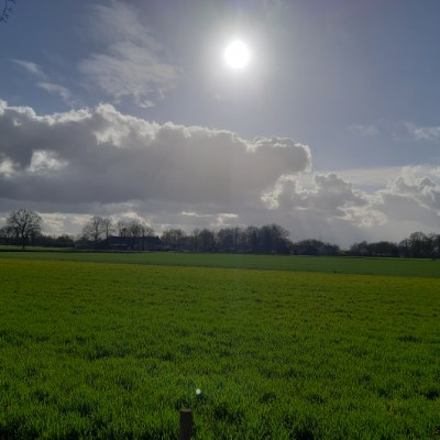 Welcome to the Netherlands 😃 Tomek ❤🇵🇱❤ post image