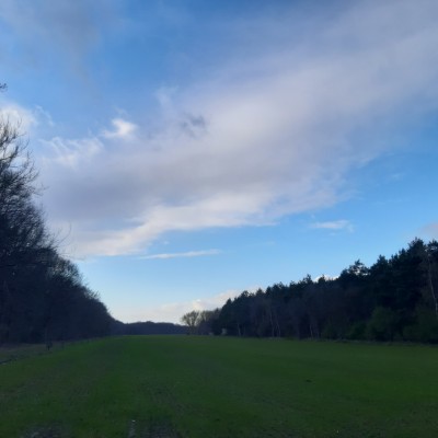 Welcome to the Netherlands 😃 Tomek ❤🇵🇱❤ post image