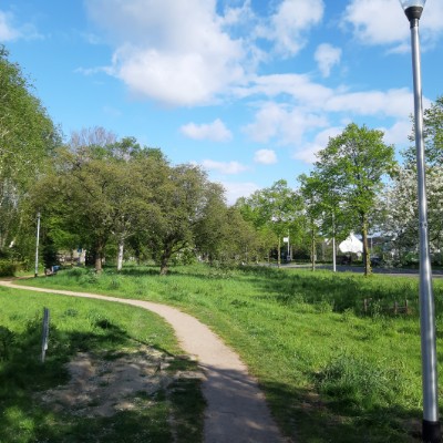 Welcome to the Netherlands 😃 Tomek ❤🇵🇱❤ post image