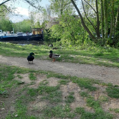 Polska 🇵🇱 Tomek ❤🇵🇱❤ post image