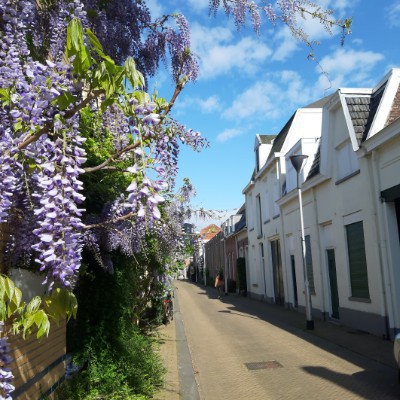 Welcome to the Netherlands 😃 Tomek ❤🇵🇱❤ post image