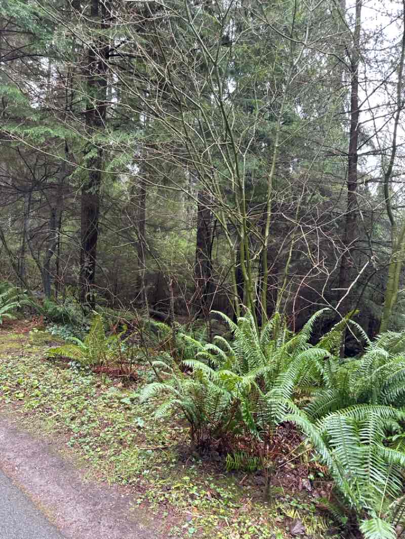 walking near me in Devonian Harbour Park in winter