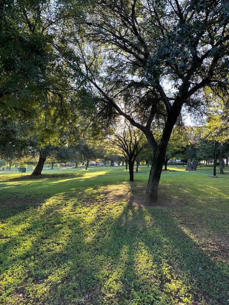 walking near me in Parque Bosques Del Valle in autumn