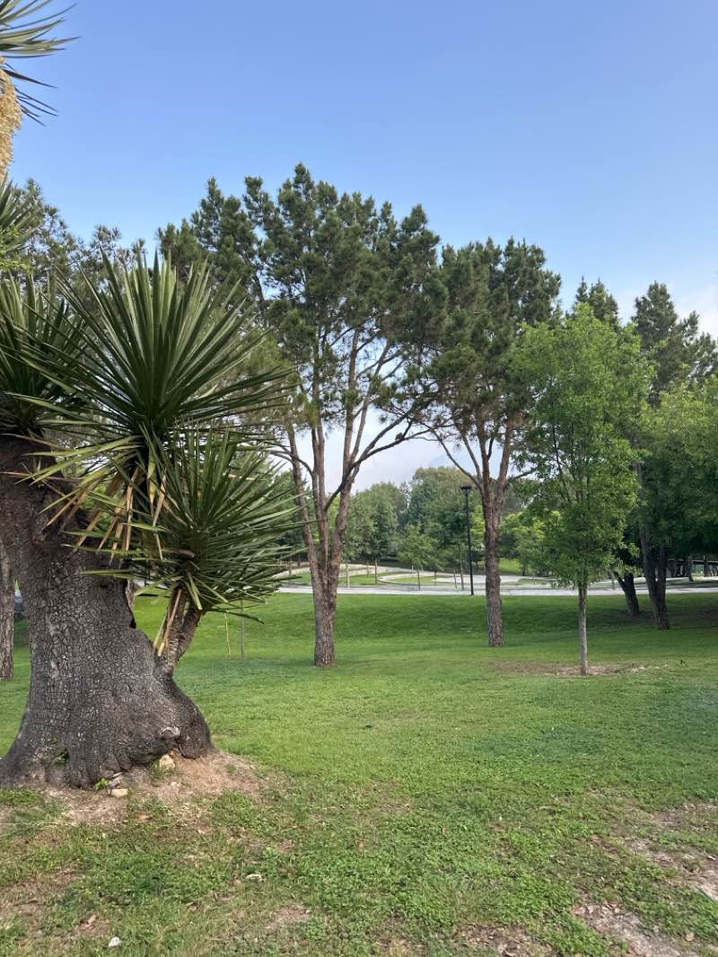 walking near me in Parque Bosques Del Valle in spring