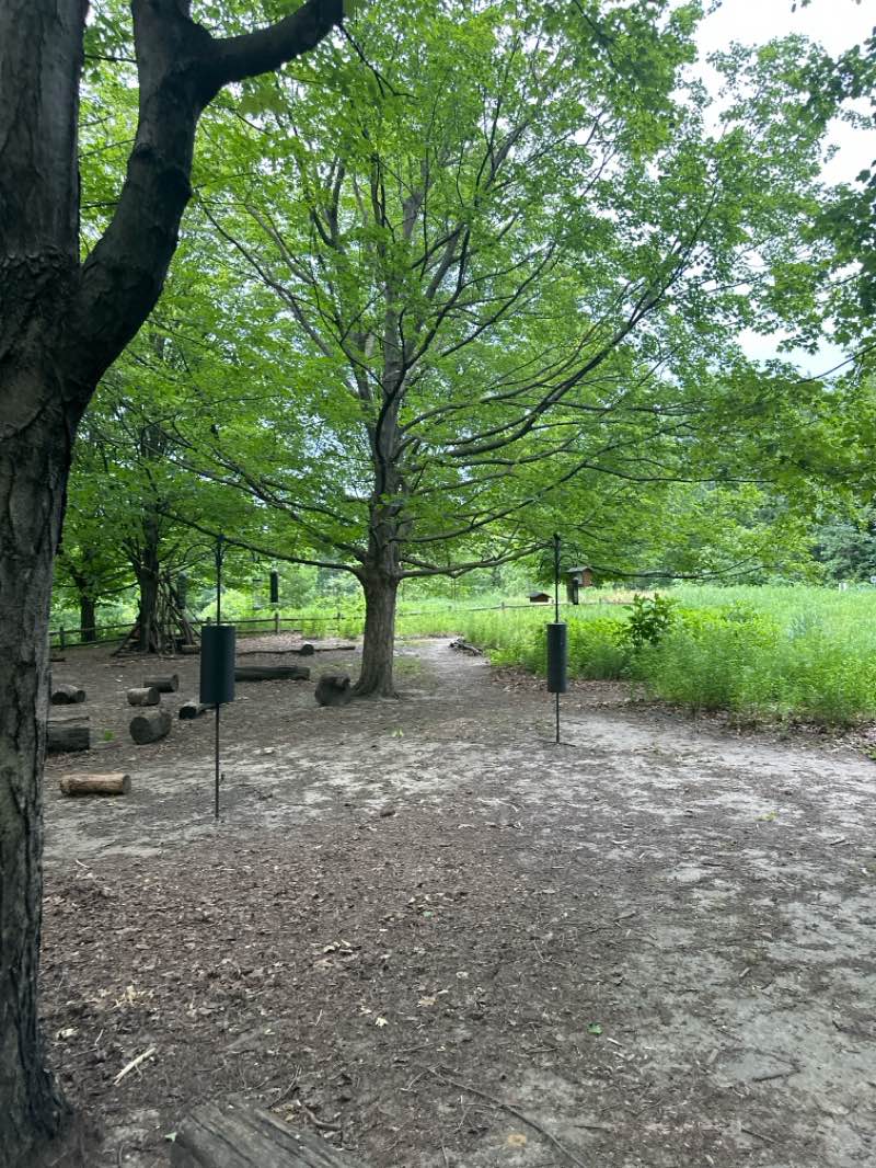 walking near me in High Park in summer