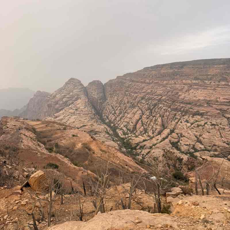 Abdulrhman Hadad post 2