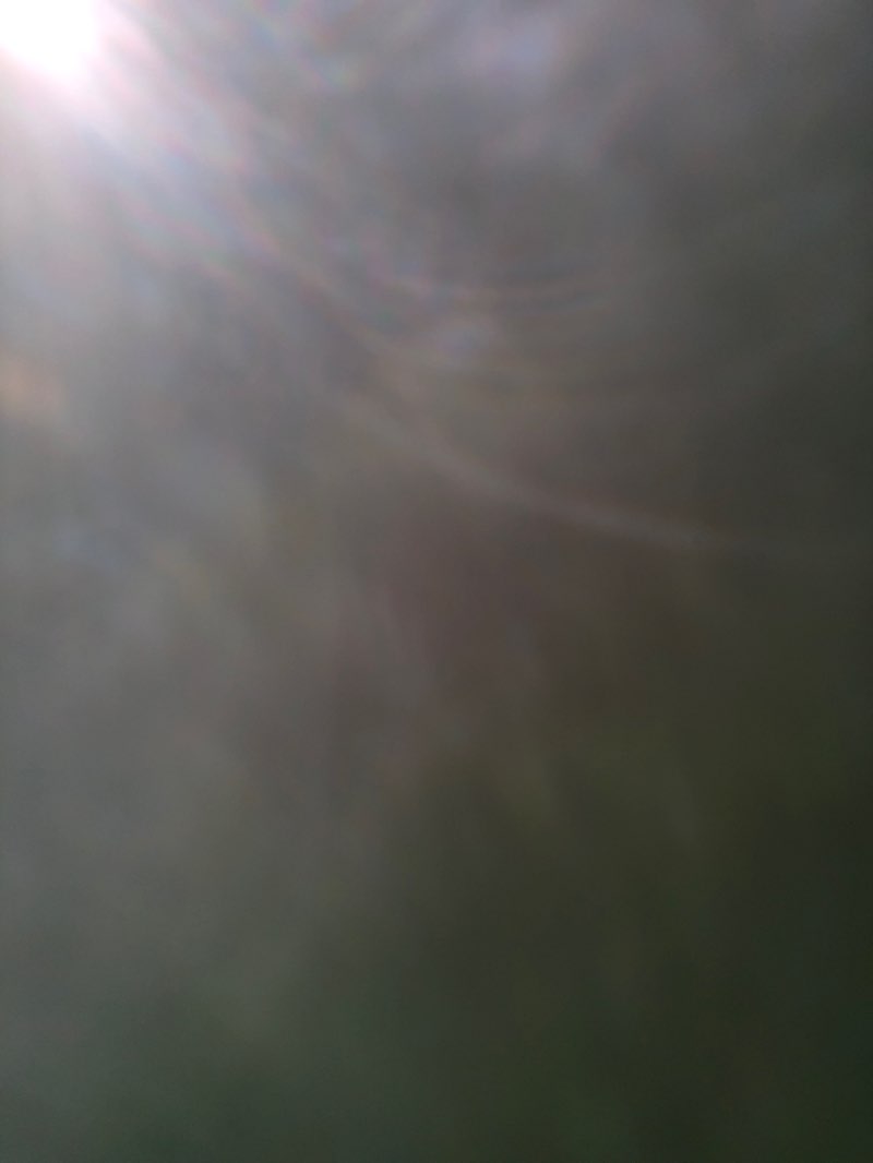 walking near me in Spring Lake Preserve in winter