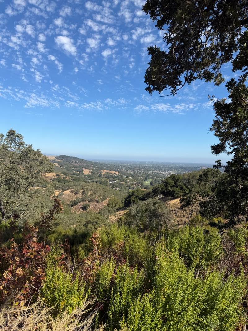 walking near me in Almaden Quicksilver County Park in summer