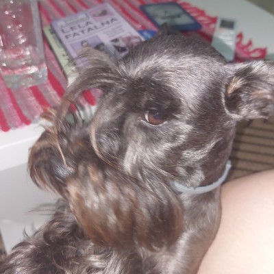 🇷🇸SERBIA PACERS🇷🇸 Kjata post image