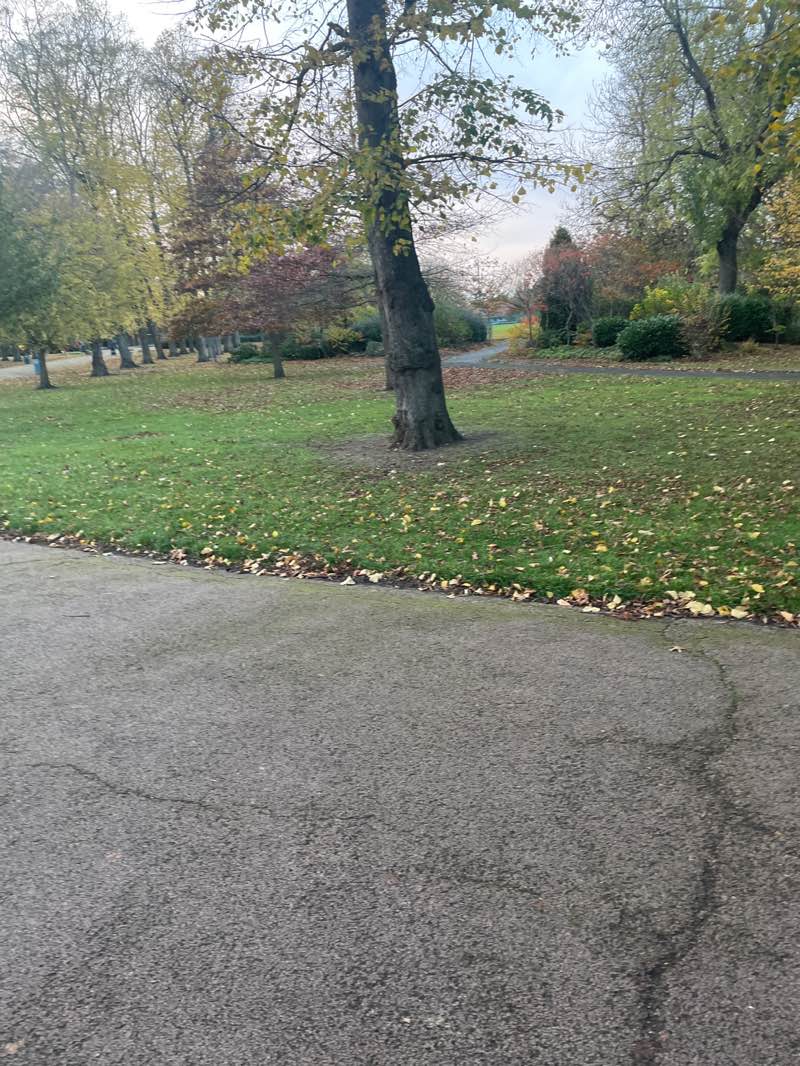 walking near me in Ropner Park in autumn