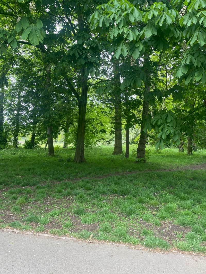 walking near me in Stewart Park in spring