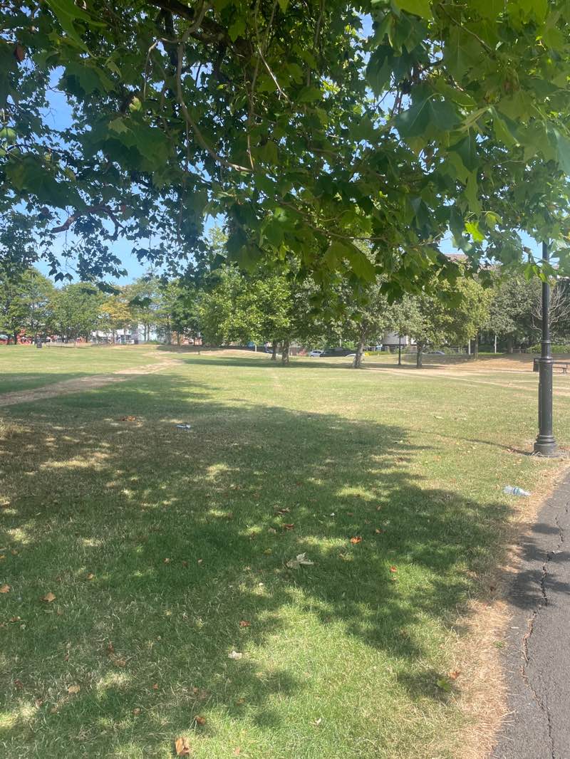walking near me in Trinity Green in summer