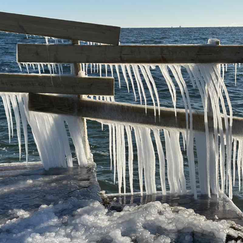 Gathering of the clan Elizabeth post image