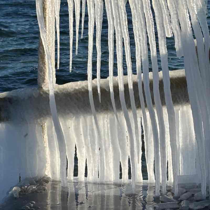 Gathering of the clan Elizabeth post image