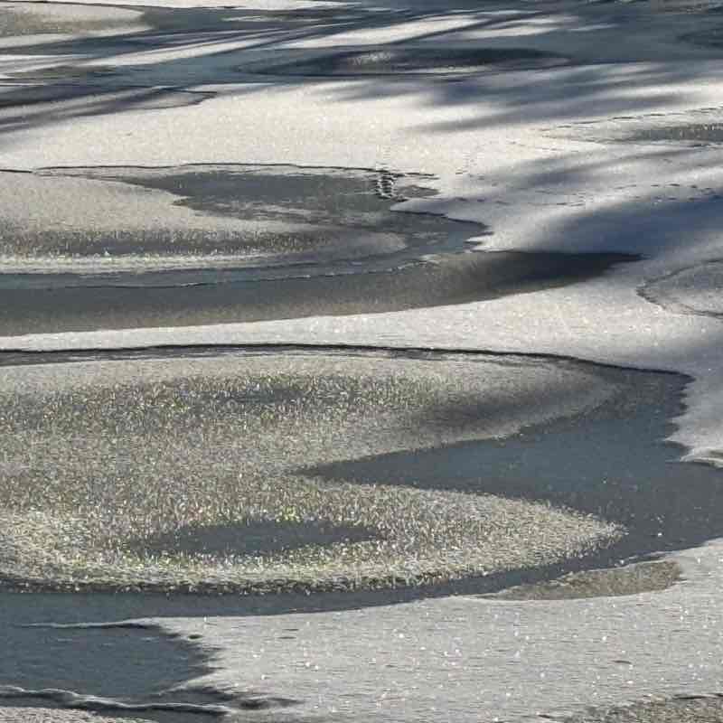 Gathering of the clan Elizabeth post image