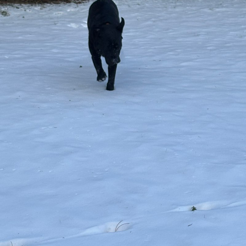 Gathering of the clan Elizabeth post image