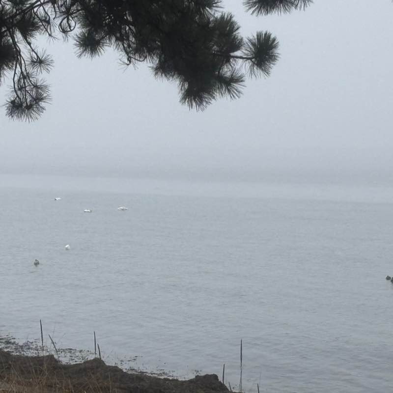 ๐2026 STEPS ๐ Elizabeth post image