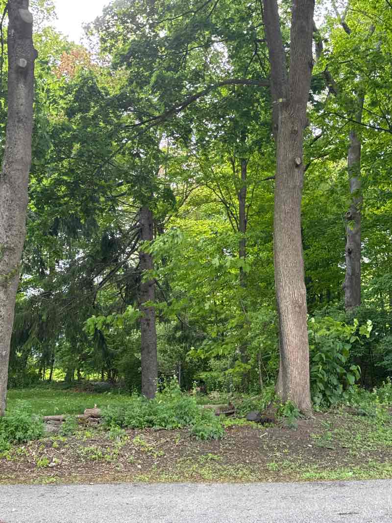 walking near me in Foxborough Common in spring