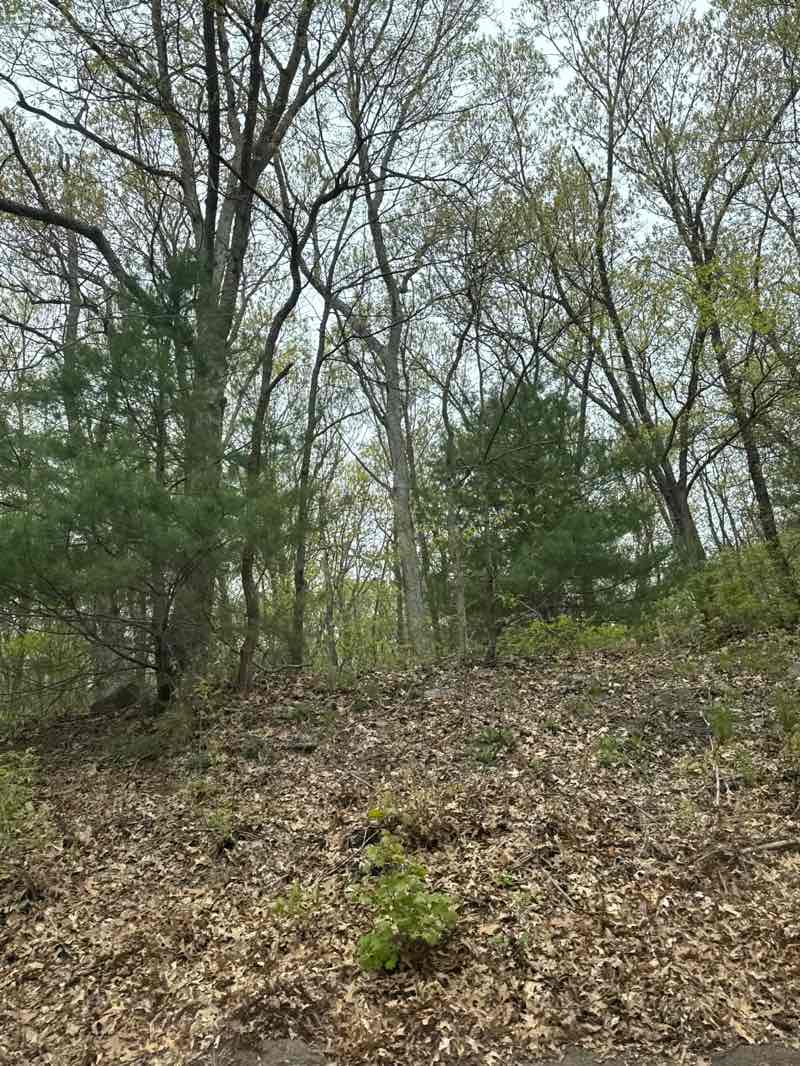 walking near me in David M. Goldstein Open Space Area in spring