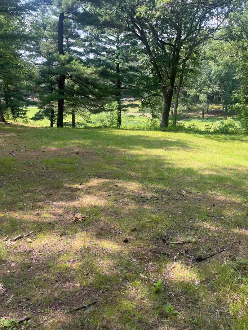 walking near me in Center Spring Pond Park in summer