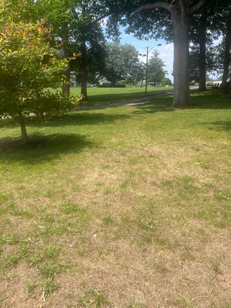 walking near me in Center Park in summer