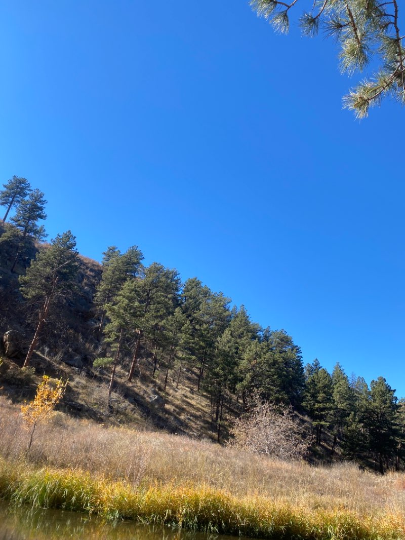 walking near me in Gateway Natural Area in winter