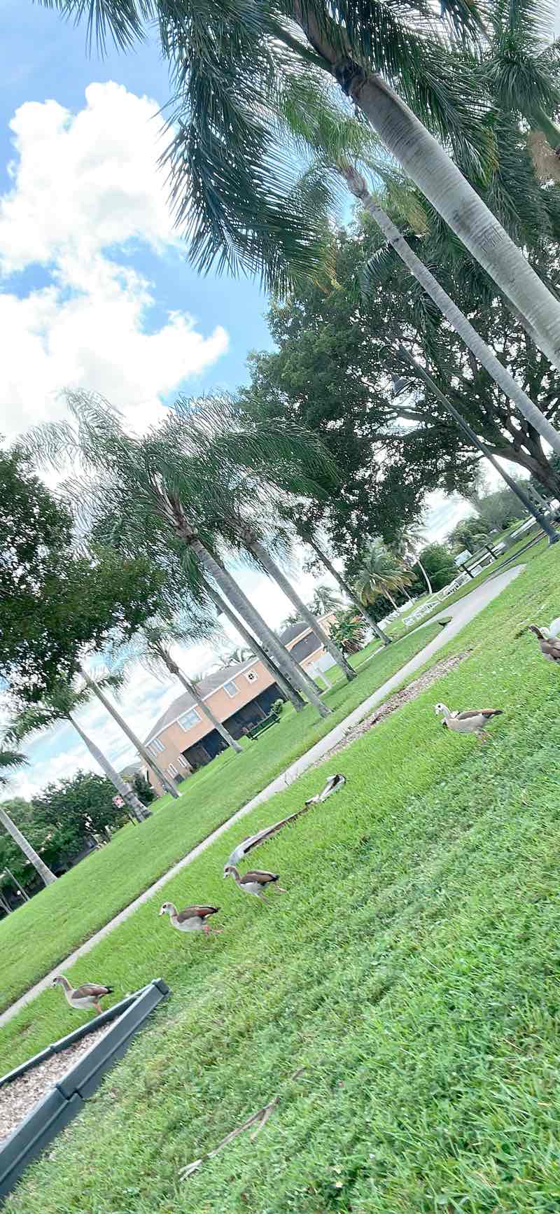 walking near me in River Run Park in winter