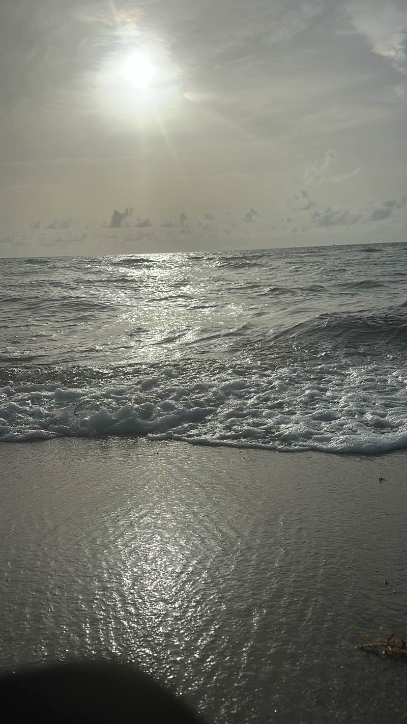 walking near me in Forzano Park and Youth Center in summer