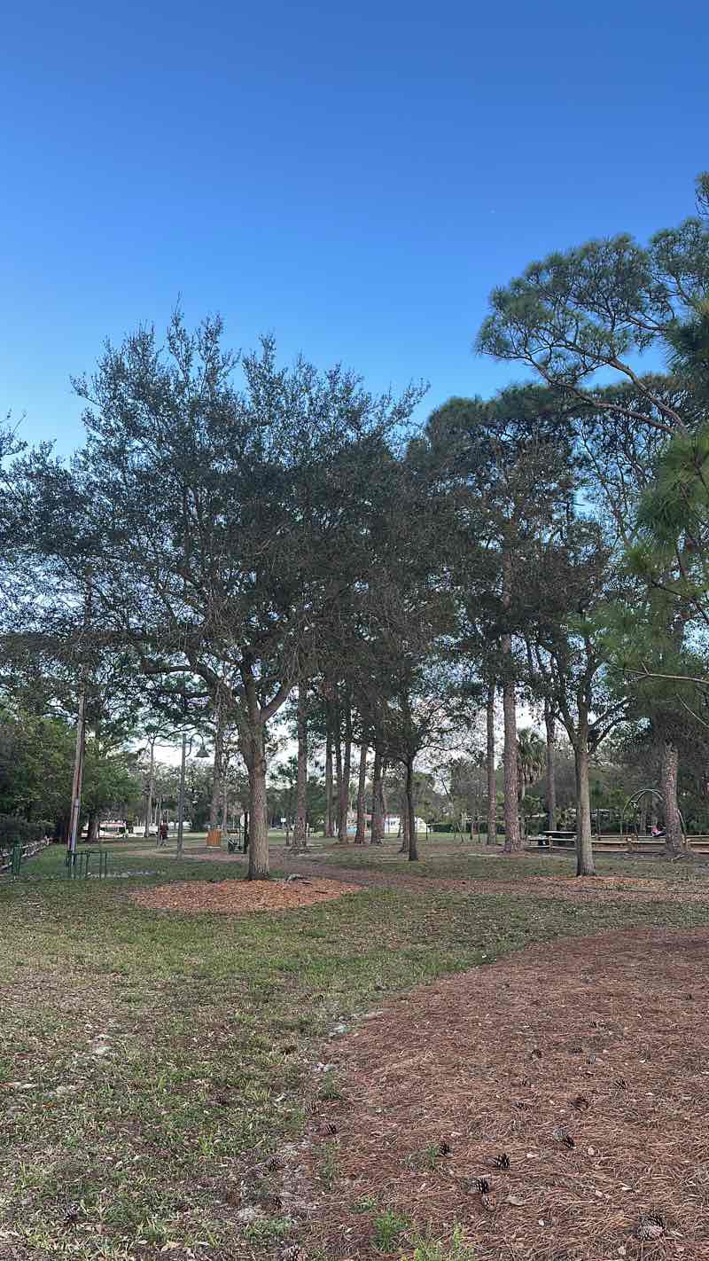walking near me in Coontie Hatchee Landing in spring