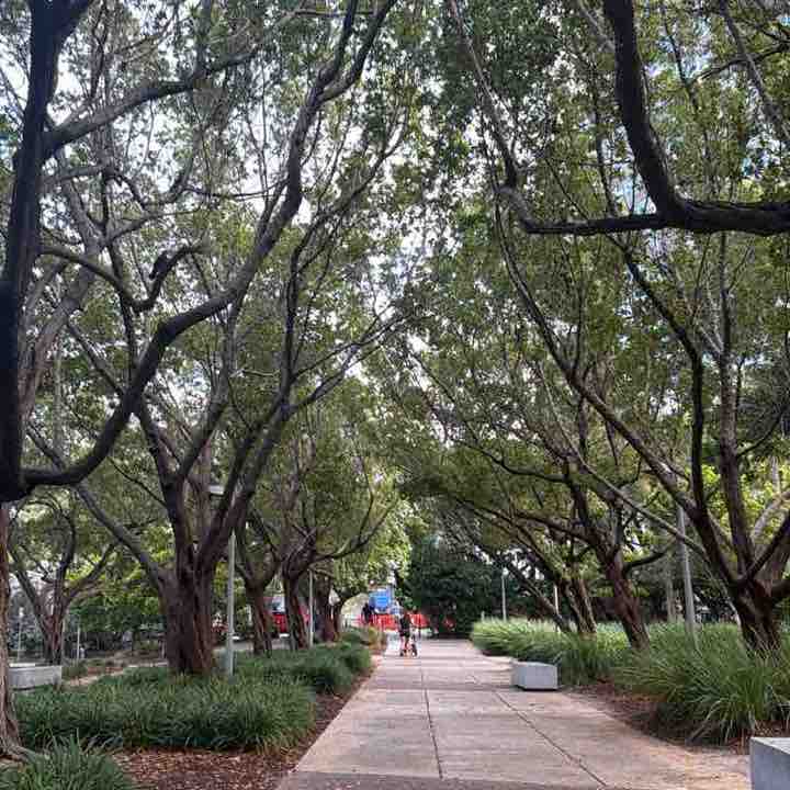 pabetani post 1