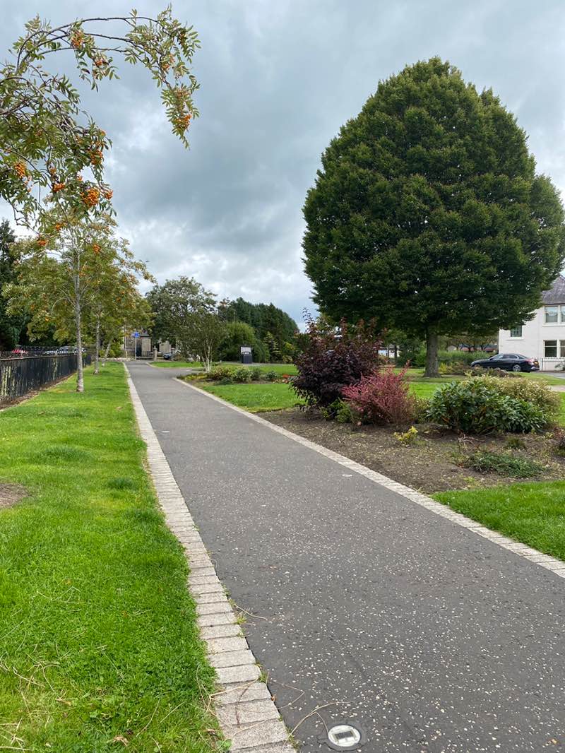 walking near me in Burngreen Park in autumn