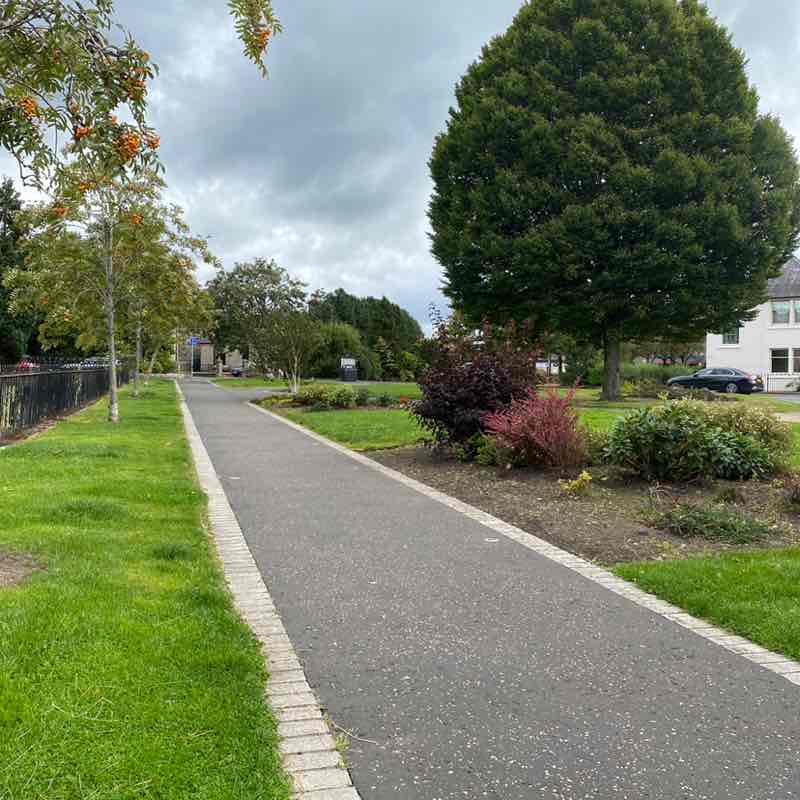 Cunningham 53 post 1