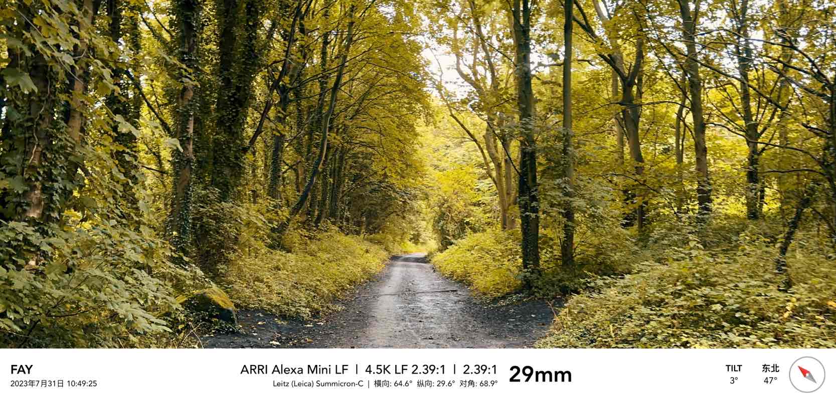 walking near me in Chase Park in winter