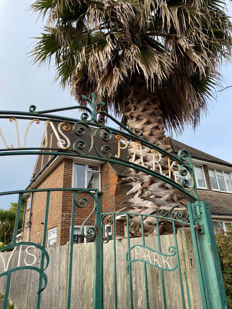 walking near me in Davis Park in autumn