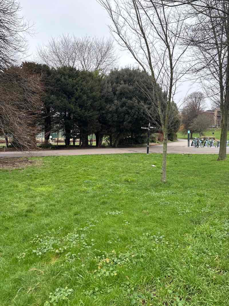 walking near me in Hove Park in winter