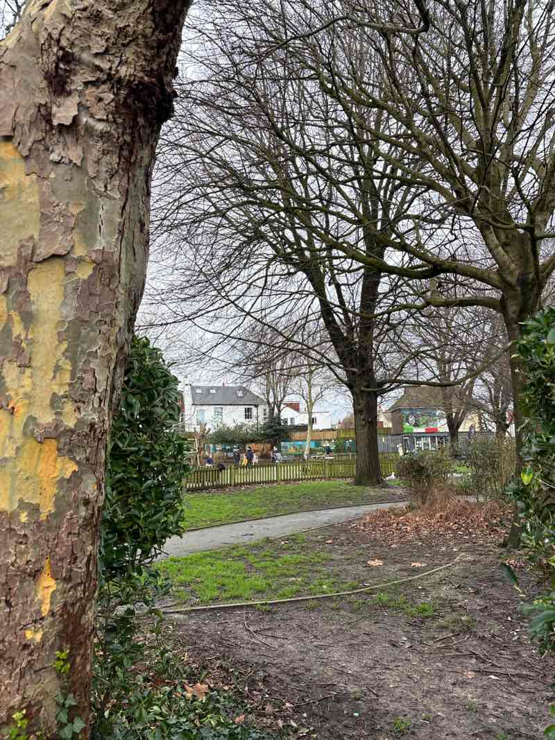 walking near me in Stoneham Park in winter