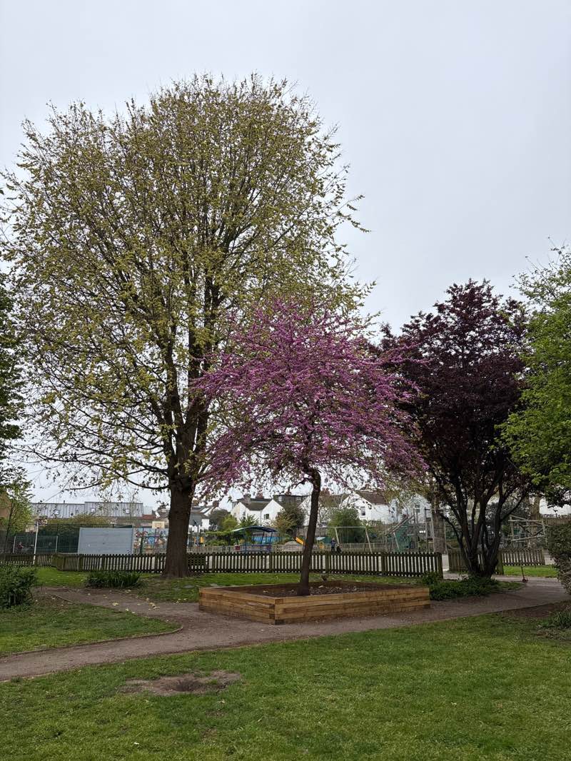 walking near me in Stoneham Park in spring