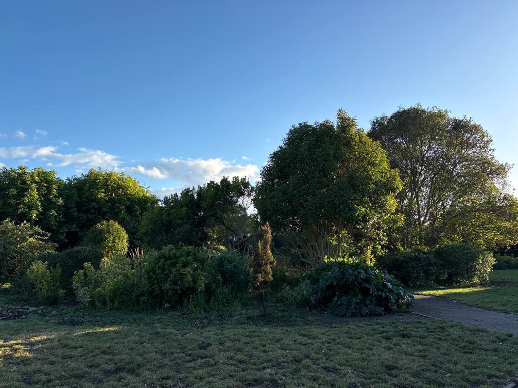walking near me in Davis Park in spring