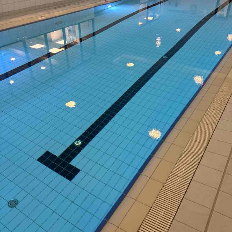 walk with Elnaz Elnaz post image