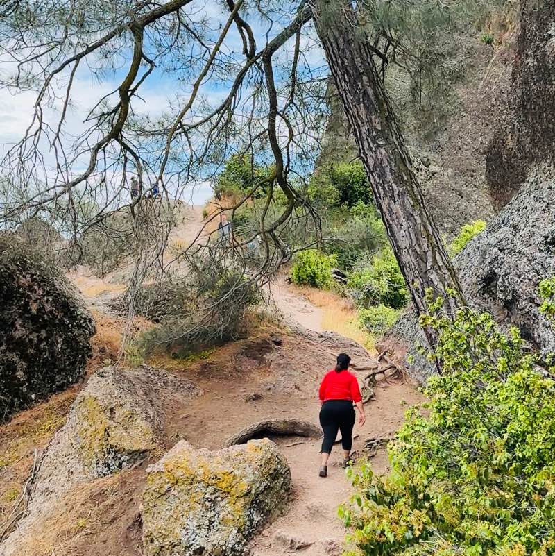 𝐌𝐚𝐫𝐲 𝐃