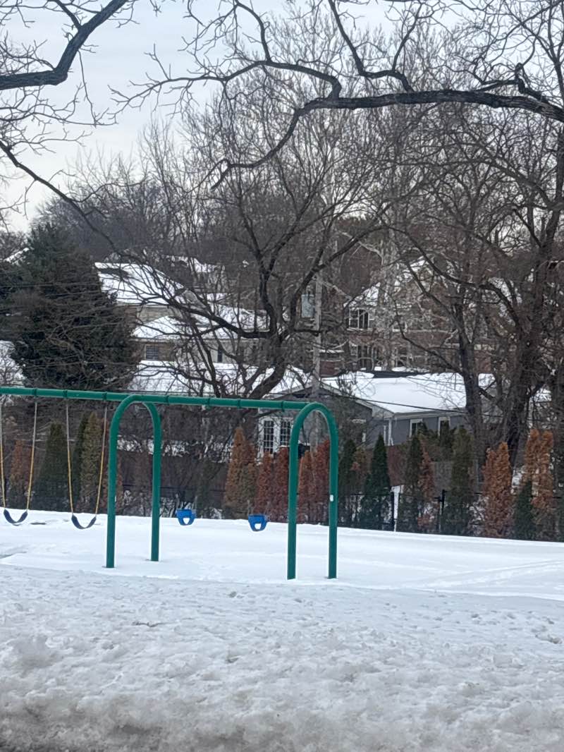 walking near me in Harwood Park in winter