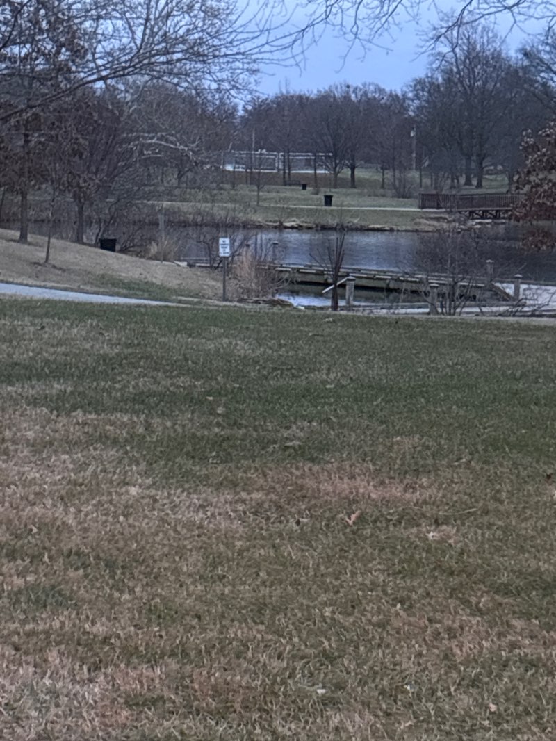 walking near me in Des Peres Park in winter