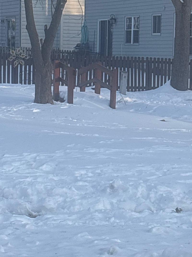 walking near me in Seven Oaks Playground in winter