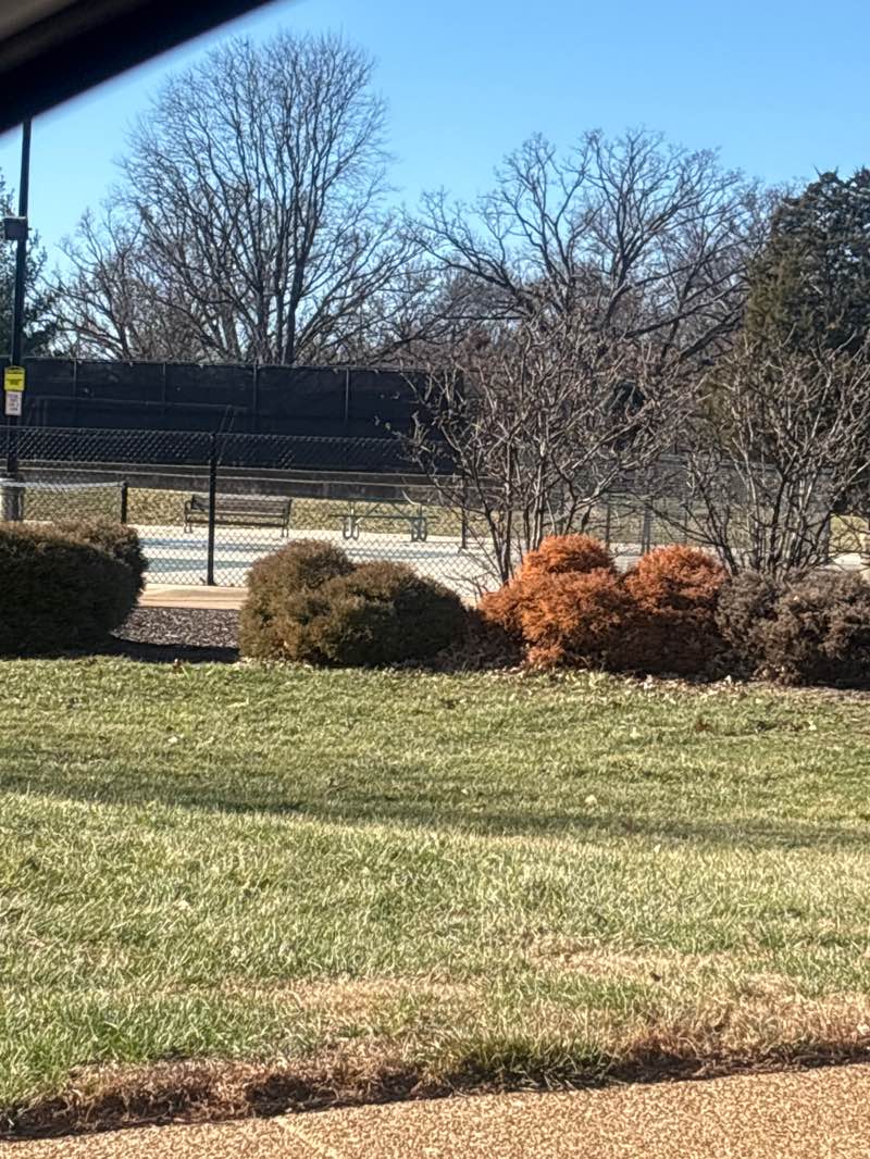 walking near me in Shaw Park in winter