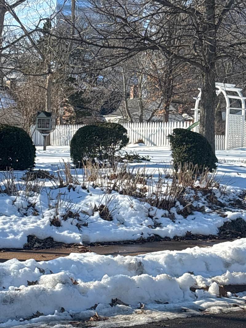 walking near me in Hanley House Park in winter