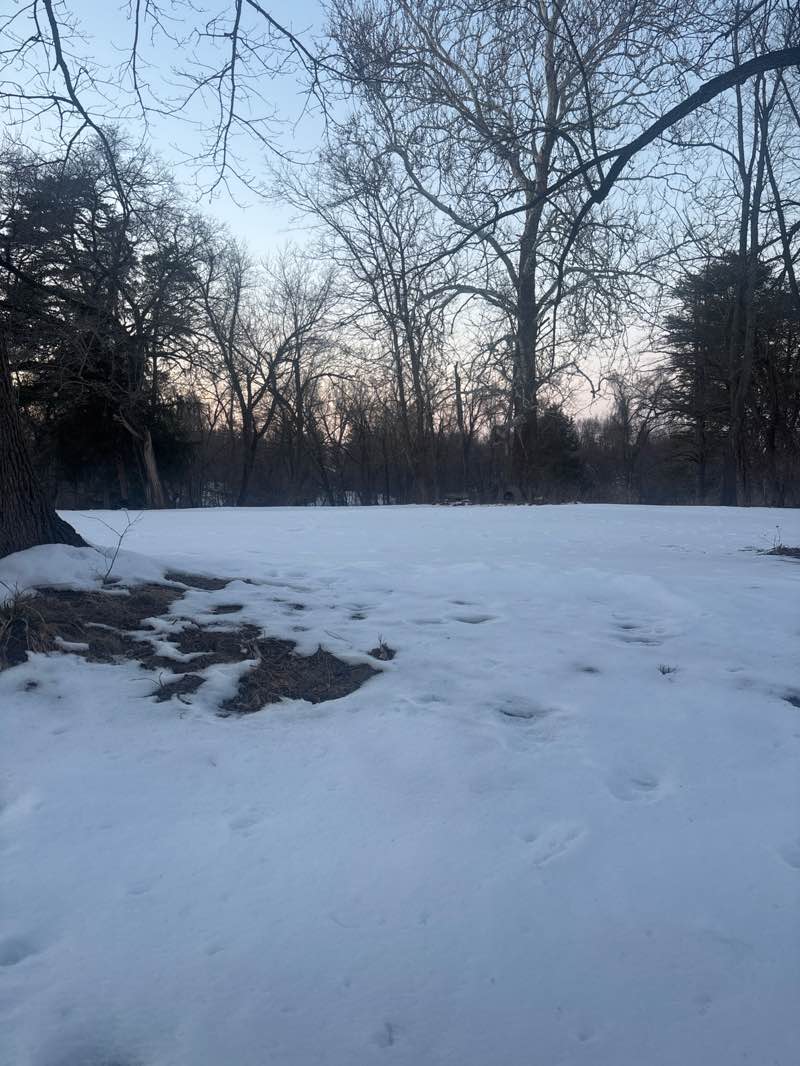 walking near me in Bridgeton Trails Park in winter