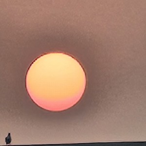 yuvraj singh profile