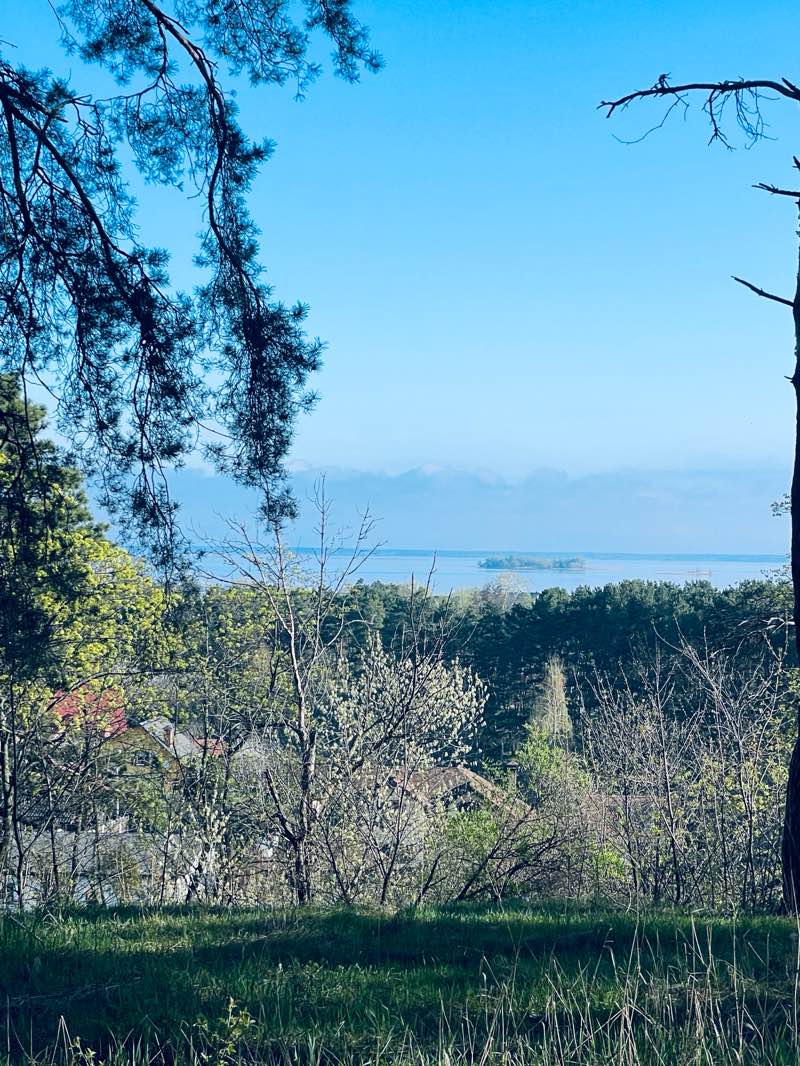 walking near me in Парк Сосновий Бір in winter