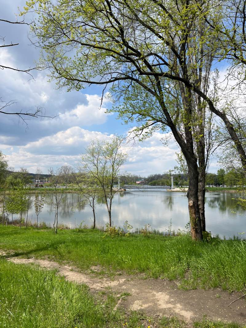 walking near me in Scuarul „Tudor Vladimirescu - Nicolae Dimo” in winter